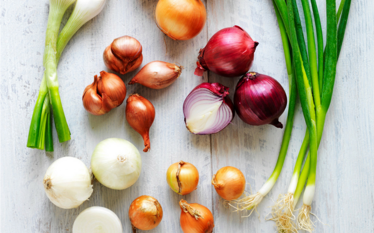 Sydney Markets - The definitive guide to onions