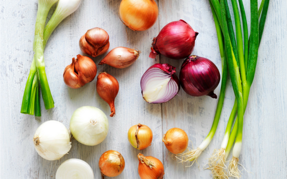 Sydney Markets The Definitive Guide To Onions