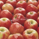 Pink Lady Apples