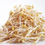 Bean Sprouts