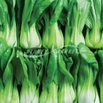 Bok choy