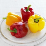 Capsicums