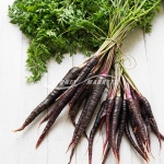 Purple Carrots