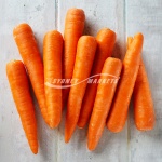 Carrots