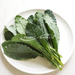 Cavolo Nero (Tuscan Cabbage)