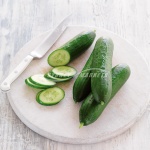 Cucumber