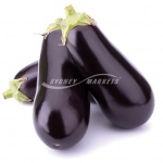 Eggplant