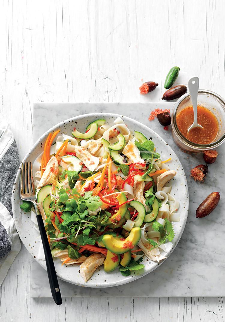 Finger lime, avocado, chilli & chicken salad