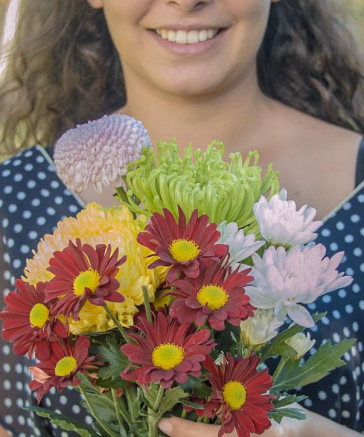 Best 5 Types of Flowers for Mum on Mother's Day - Sydney Markets