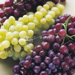 Seedless Grapes