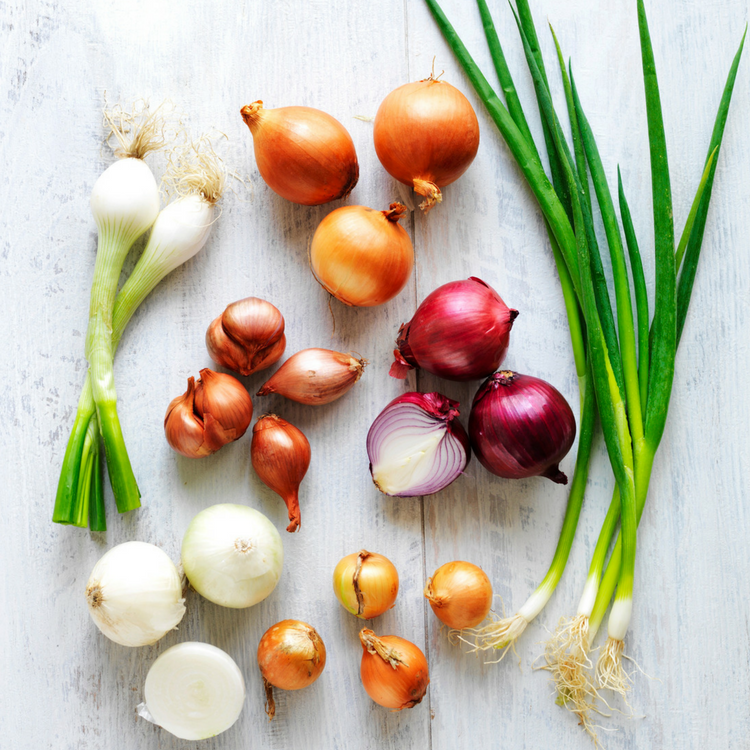 The Definitive Guide to Onions - Sydney Markets