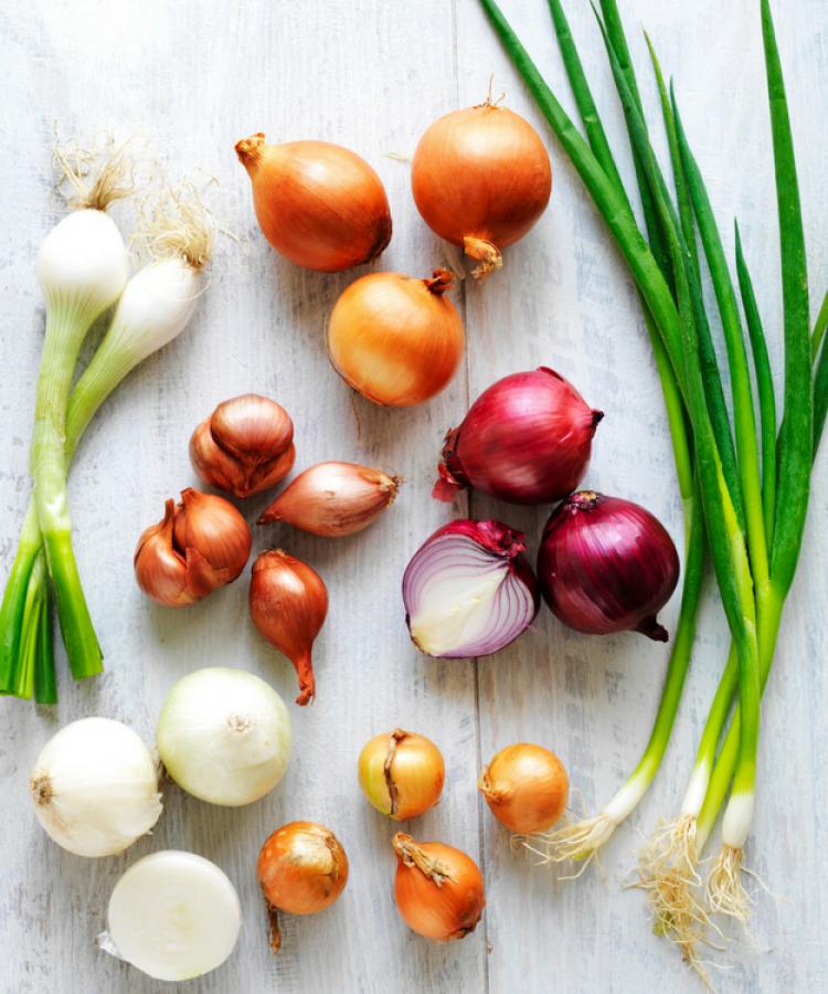 The Definitive Guide to Onions - Sydney Markets