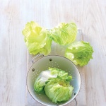 Iceberg Lettuce