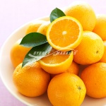 Valencia Oranges