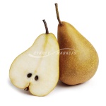 Beurre Bosc Pears