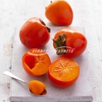 Sweet Persimmons