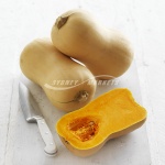 Butternut Pumpkin