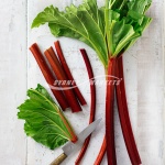 Rhubarb