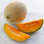 Rockmelons