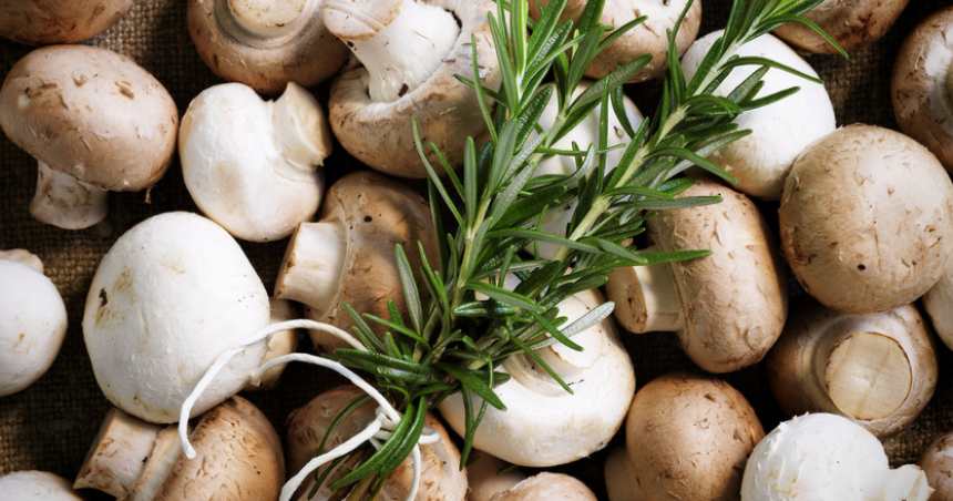 Rosemary - the herb of remembrance.