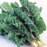 Silverbeet