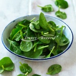 Baby Leaves Spinach