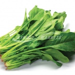 English Spinach
