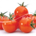 Cherry Tomatoes