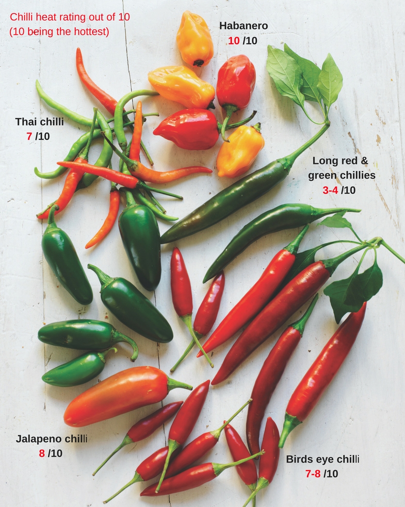 Chilli In The World Chart