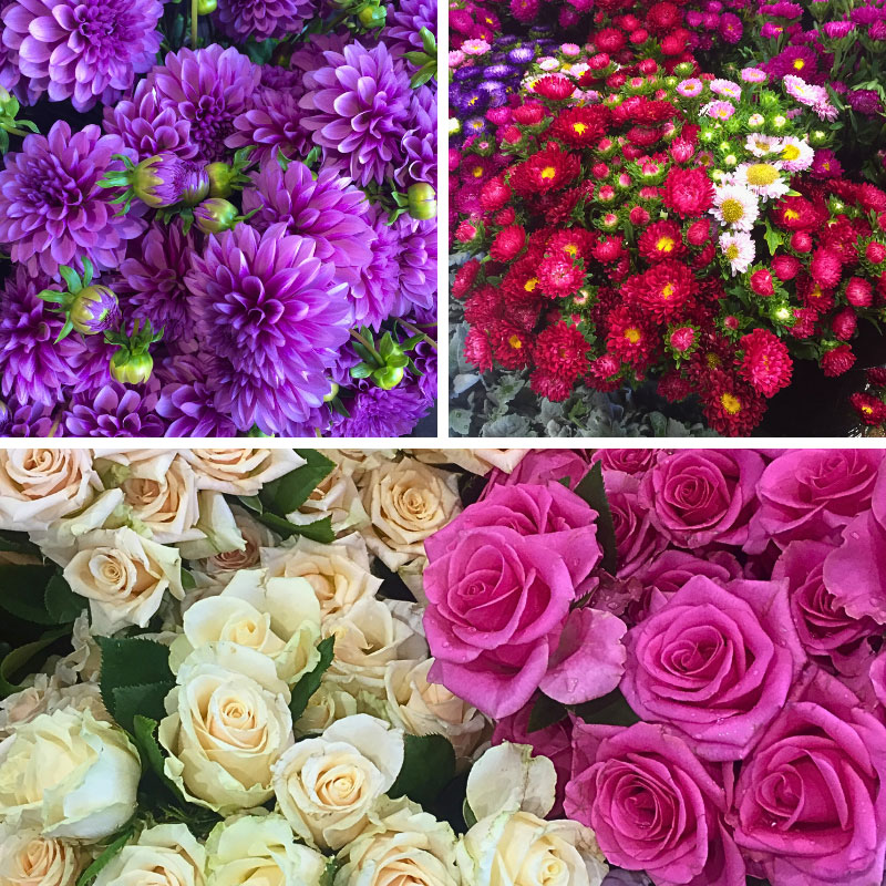 Flowers