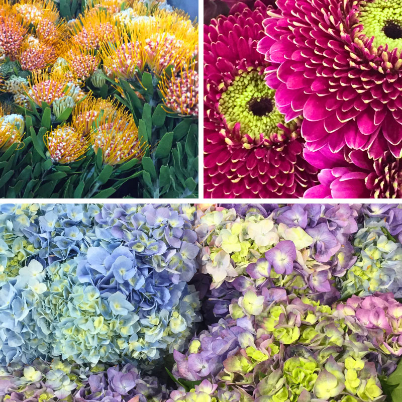 Flowers