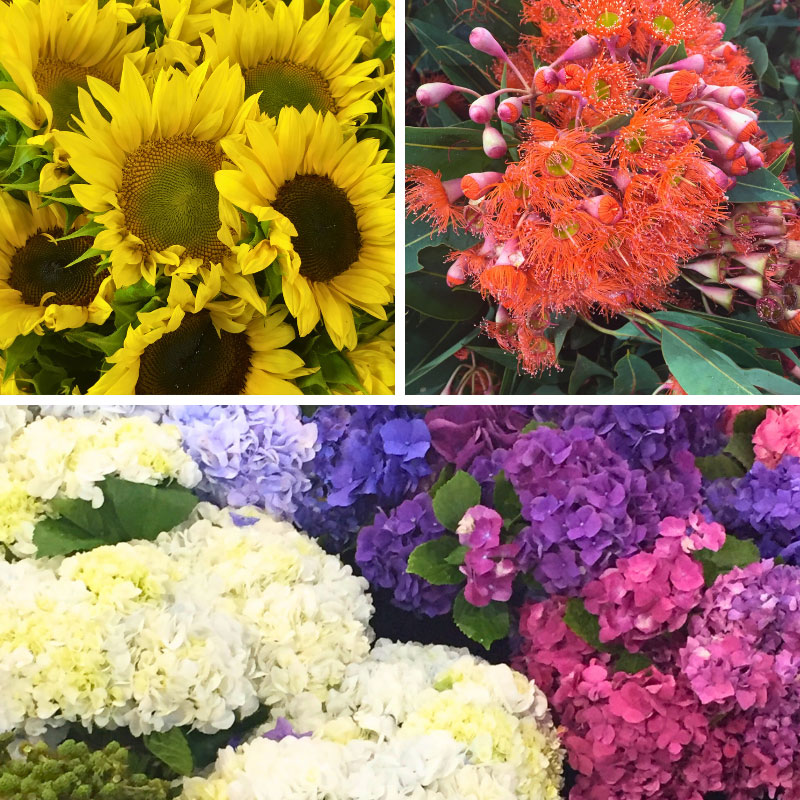 Flowers