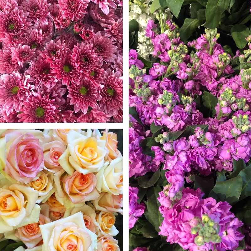 Flowers