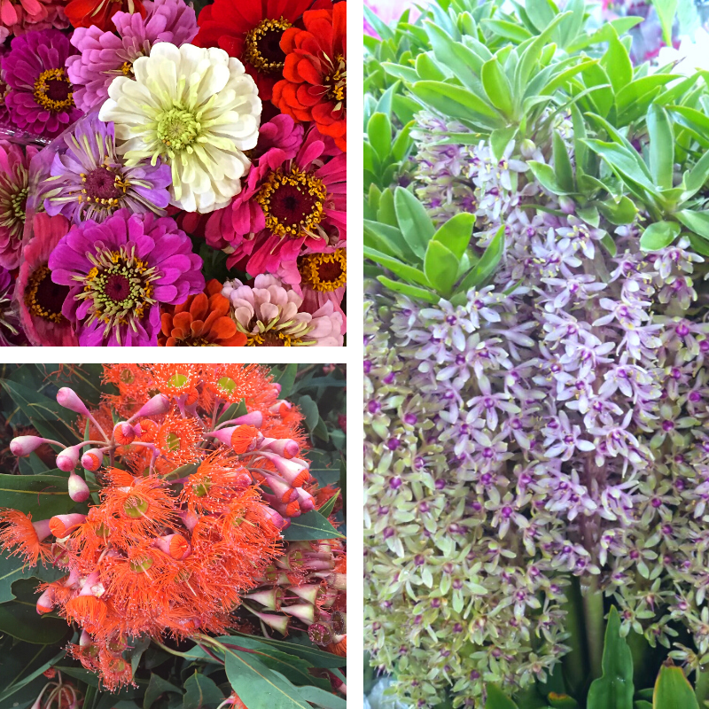 Flowers