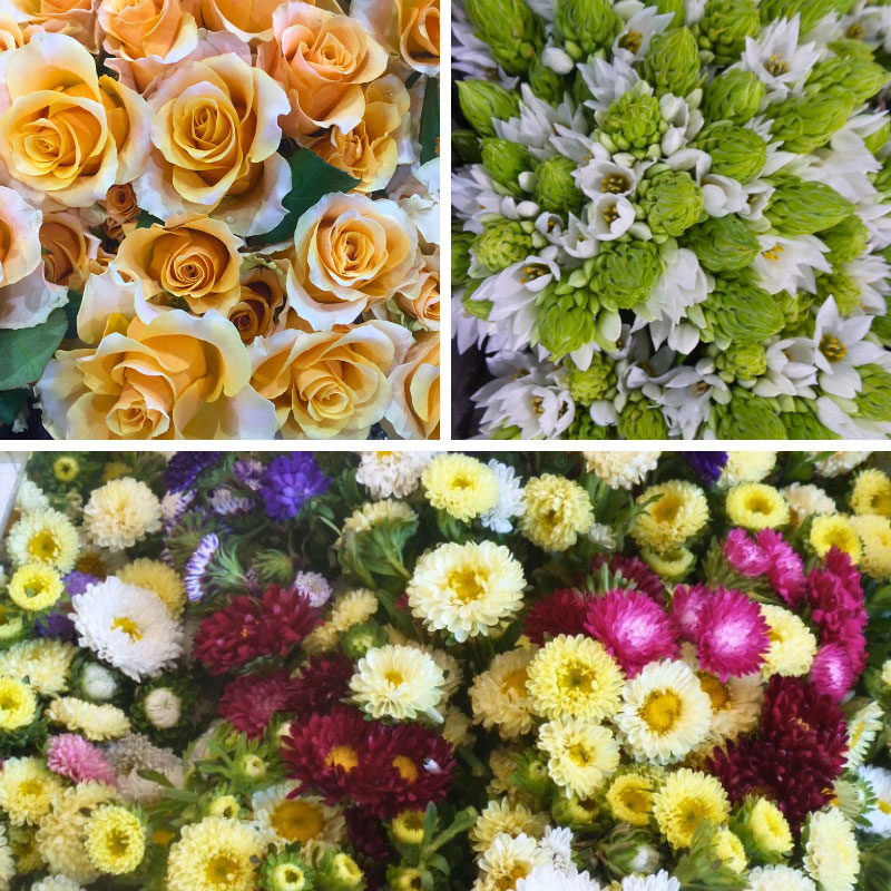 Flowers