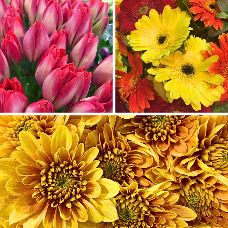 Flowers