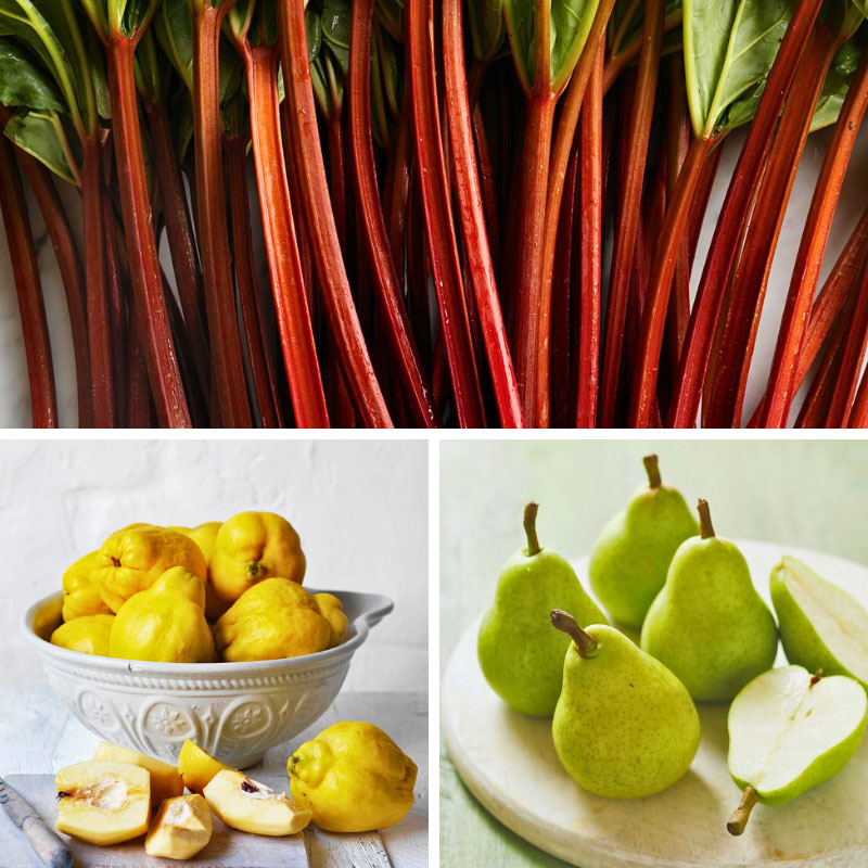 Fruit