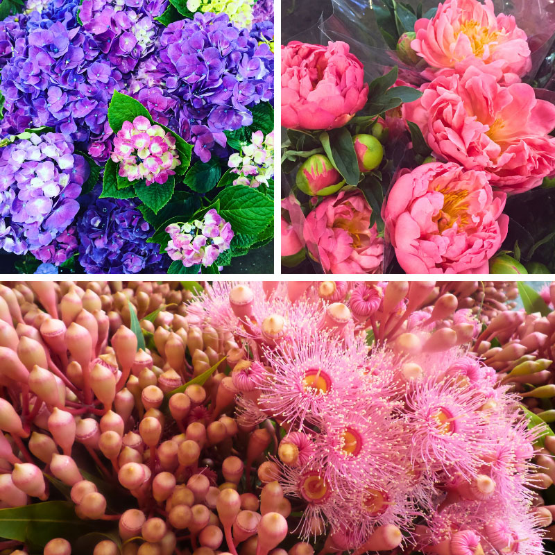 Flowers