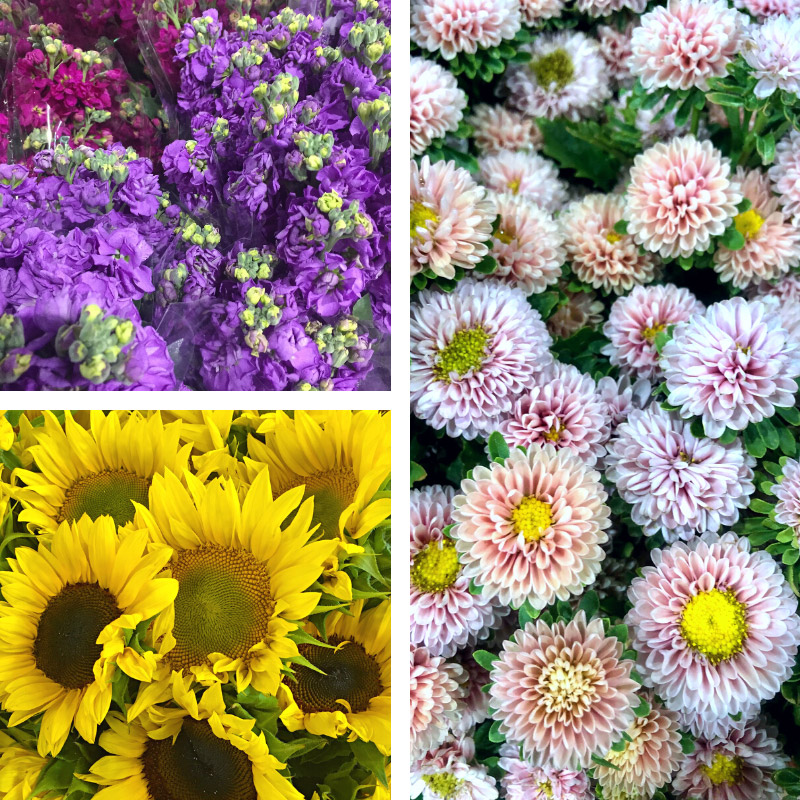 Flowers