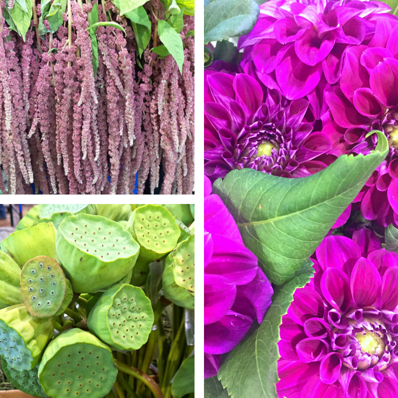 Flowers