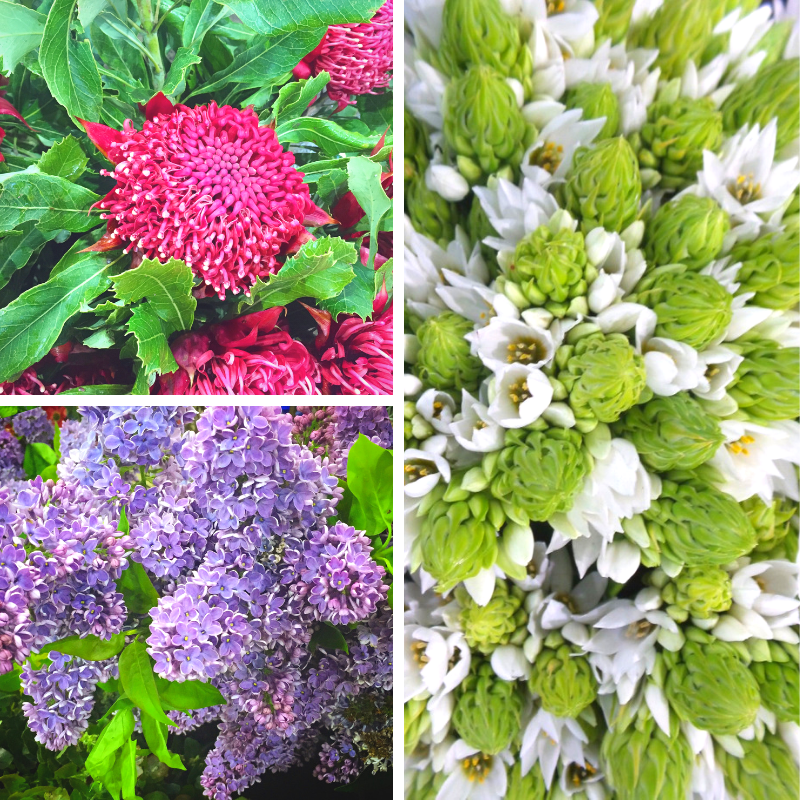 Sydney Markets Fresh Fruit Vegetable & Flower Report Sydney Markets