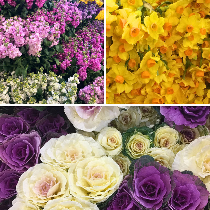 Flowers