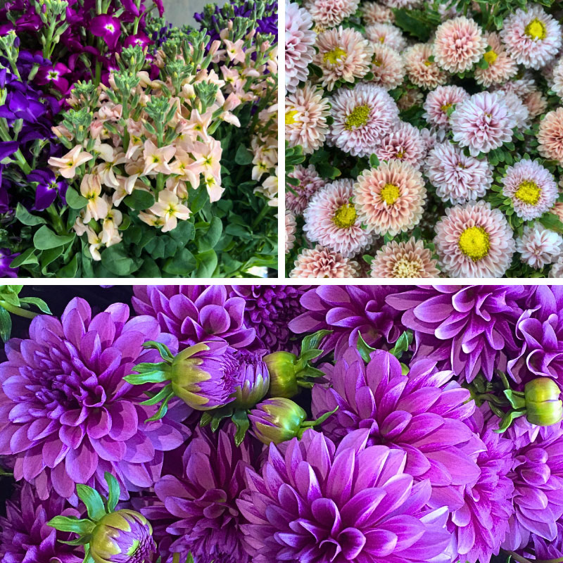 Flowers