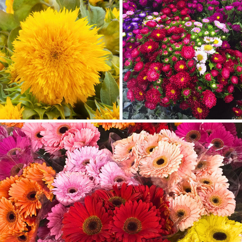 Flowers