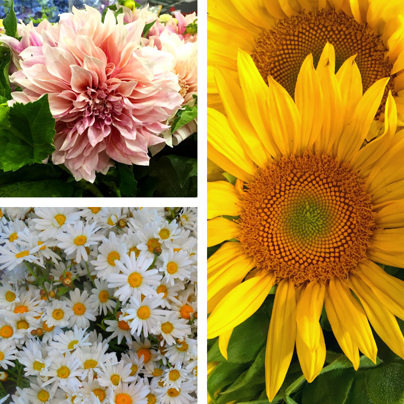 Flowers