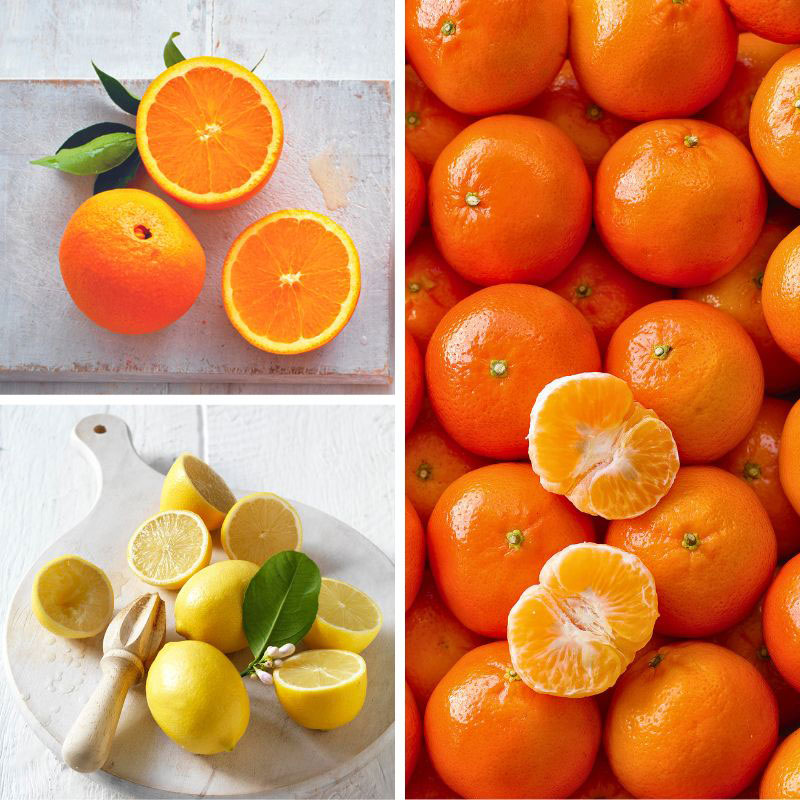 Fruit