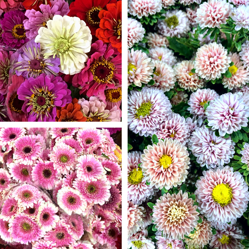Flowers