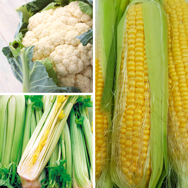 Vegetables