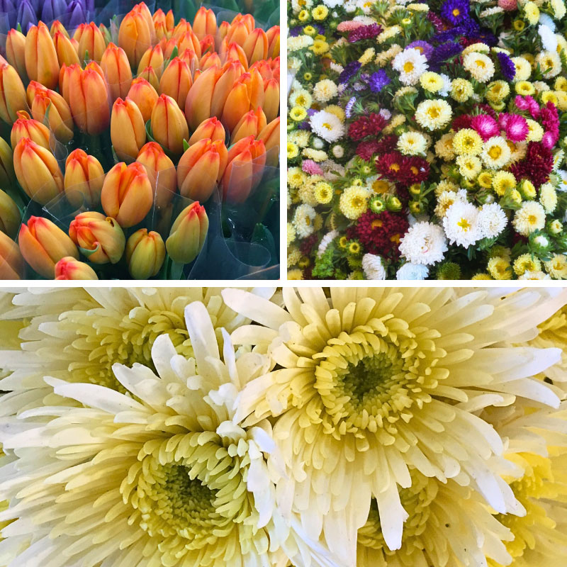 Flowers