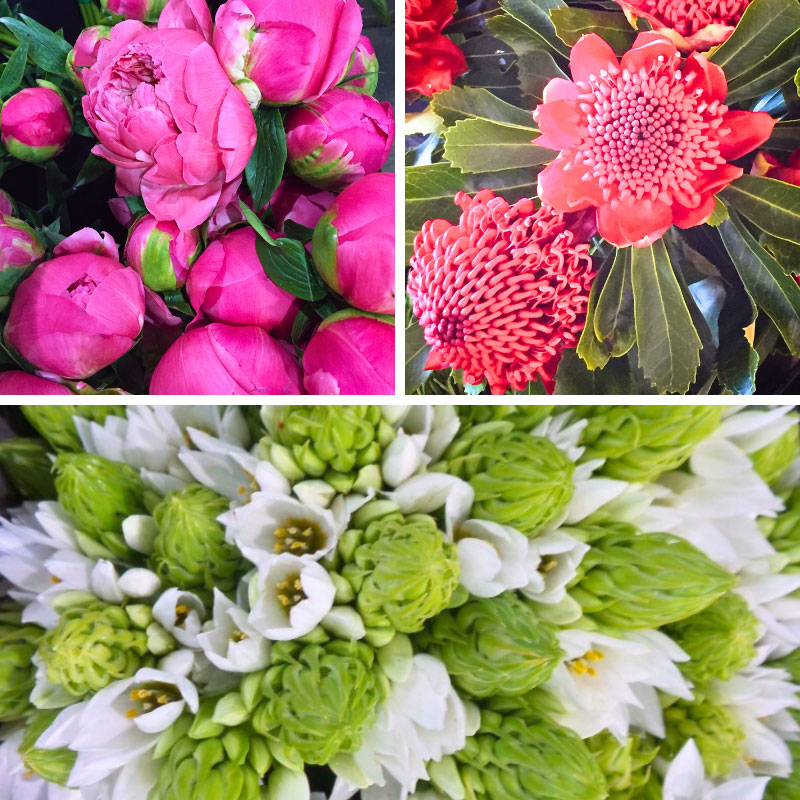 Flowers